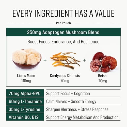 Adaptogen Mushroom Nootropic Pouches (4 Pack Bundle) - 250mg Mushroom Blend + 165mg Energy Blend, Nicotine Free & Caffeine Free, Ultra Pouch with Lion's Mane, Cordyceps, Reishi, Alpha-GPC, L-Theanine GGGJ Au supplements