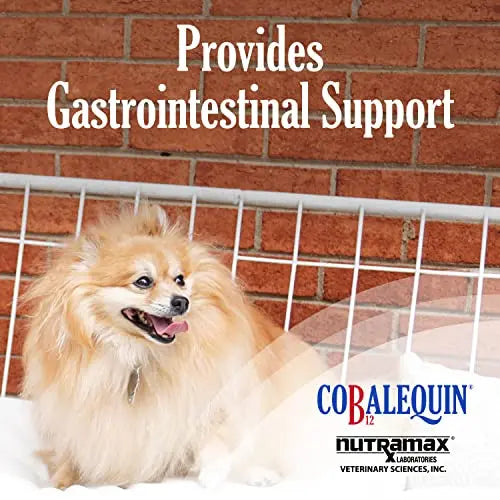 Nutramax Cobalequin B12 Supplement for Cats and Small Dogs, 45 Count (Pack of 1) Nutramax Laboratories Au supplements