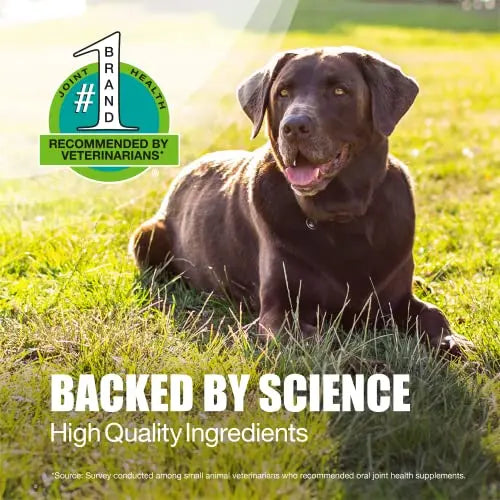 Nutramax Laboratories Dasuquin with MSM Joint Health Supplement for Large Dogs Nutramax Laboratories Au supplements