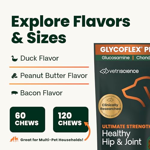 VetriScience Ultimate Strength Healthy Hip & Joint Chews, GlycoFlex Glucosamine, Chondroitin and Green-Lipped Mussel Joint Support Supplement for Dogs, Soothe Joint Discomfort, Duck, 120 Count VETRISCIENCE Au supplements