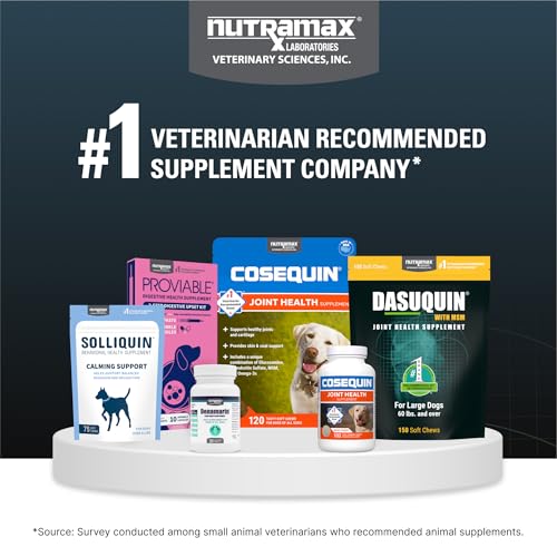 Nutramax Dasuquin for Large Dogs, Joint Health Supplement, Contains Glucosamine for Dogs, Plus Chondroitin, ASU and More, Supports Healthy Joints, Chewable Tablets, 150 Count Nutramax Laboratories Au supplements