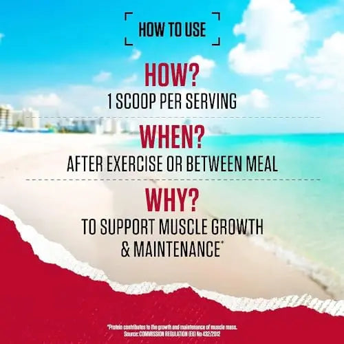 BSN True Mass All-In-One Gainer Protein and Carbohydrate Powder with Creatine BSN Au supplements