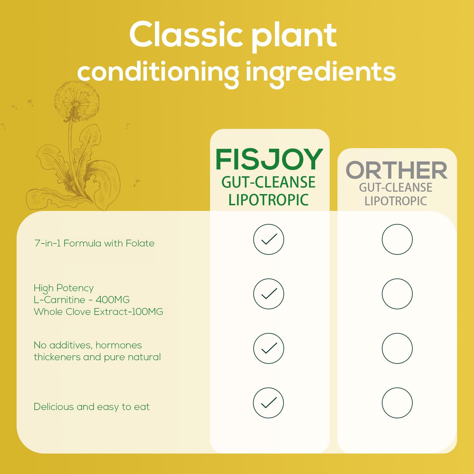 Fisjoy L-Carnitine & Herbal Liquid Drops – Gentle Daily Digestive Support with Pumpkin Seed, Clove & PAU D’Arco Extracts, Folate & Chromium, Vegan, Sugar-Free, 2 fl oz (60 mL) Fisjoy Au supplements
