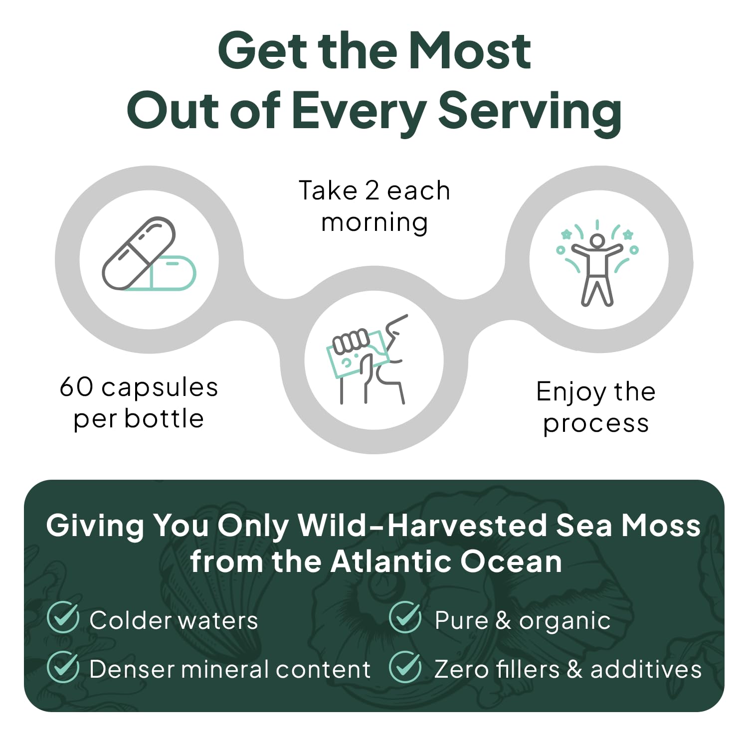 Organics Ocean Wild Sea Moss Capsules - 100% Organic Irish Sea Moss with Organic Chlorella, Bladderwrack and Vitamin D for Energy, Lung Health and Thyroid Support for Women and Men - 60 Capsules Organics Ocean Au supplements