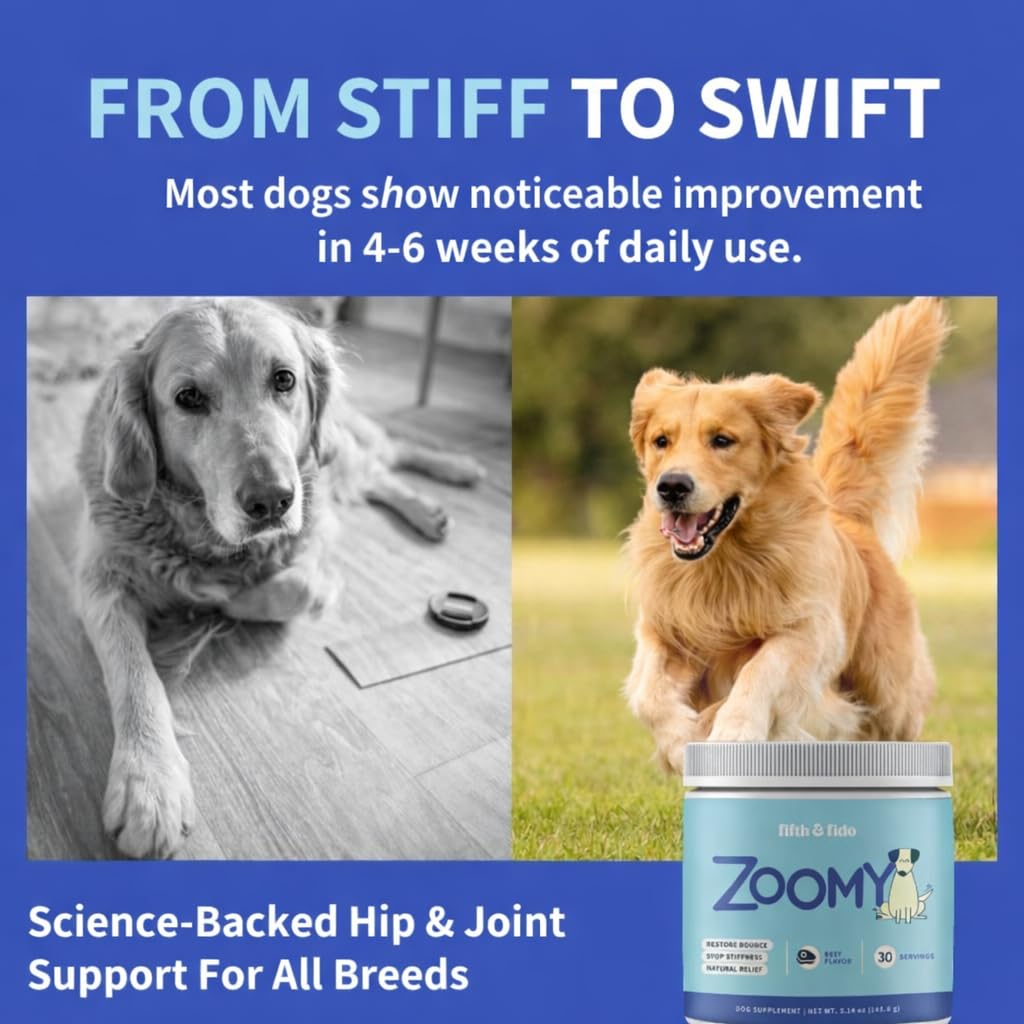 Fifth & Fido Joint Supplement for Dogs - Glucosamine for Dogs - Pet Vitamins and Supplements Powder with Chondroitin & MSM - Hip & Joint Support for Mobility, Stiffness & Flexibility - Mushroom Blend Fifth & Fido Au supplements