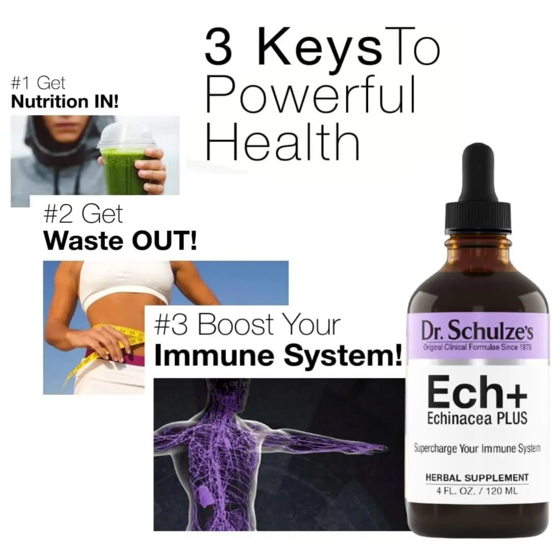 Dr. Schulze's Echinacea Plus | Echinacea Root and Seed | All Organic Extract | Gluten-Free Dr. Schulze's Au supplements