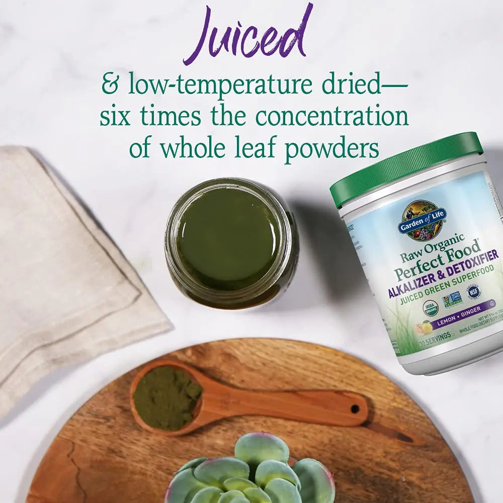 Garden of Life Raw Organic Perfect Food Alkalizer & Detoxifier Juiced Greens Superfood Garden of Life Au supplements