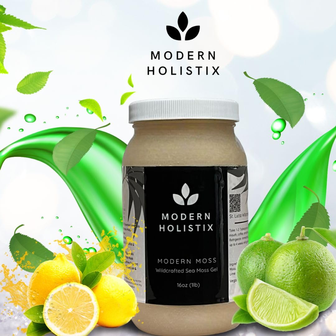 Modern Holistix Original Sea Moss Gel – 32oz Jar | Wildcrafted | All-Natural Superfood for Immunity, Energy & Gut Health Modern Holistix Au supplements