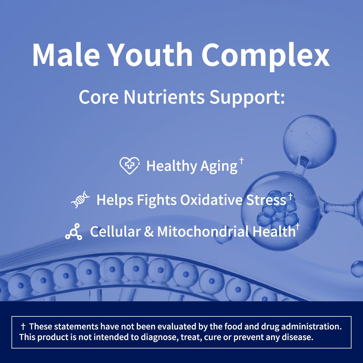 joyable by VitaSol Wellness - Male Youth Complex – Cellular Energy & Healthy Aging Support Supplement with NR, PQQ & Ergothioneine | 60 Capsules joyable by VitaSol Wellness Au supplements