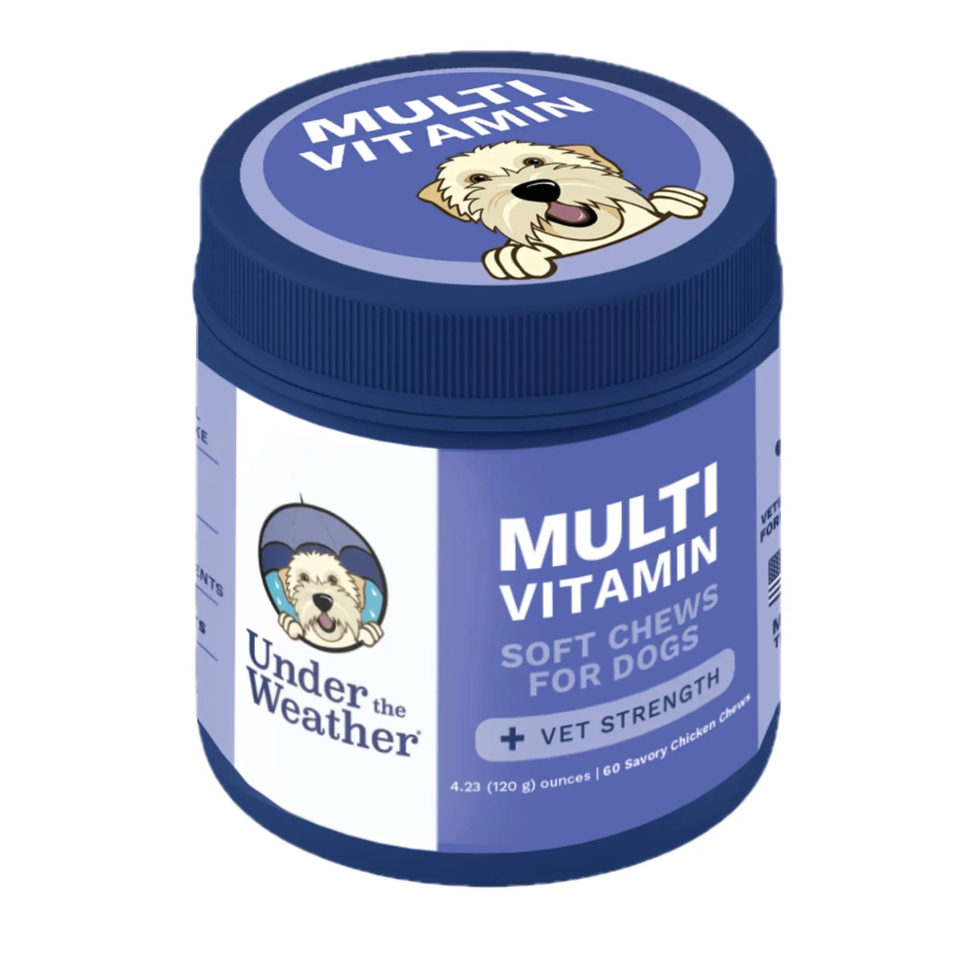 Under the Weather Multivitamin for Dogs | Vet Formulated Daily Canine Health Supplies for Immunity, Skin, Coat & Joint Support | All-in-One Multivitamin for Dogs of All Breeds & Sizes | 60 Count Under the Weather Au supplements