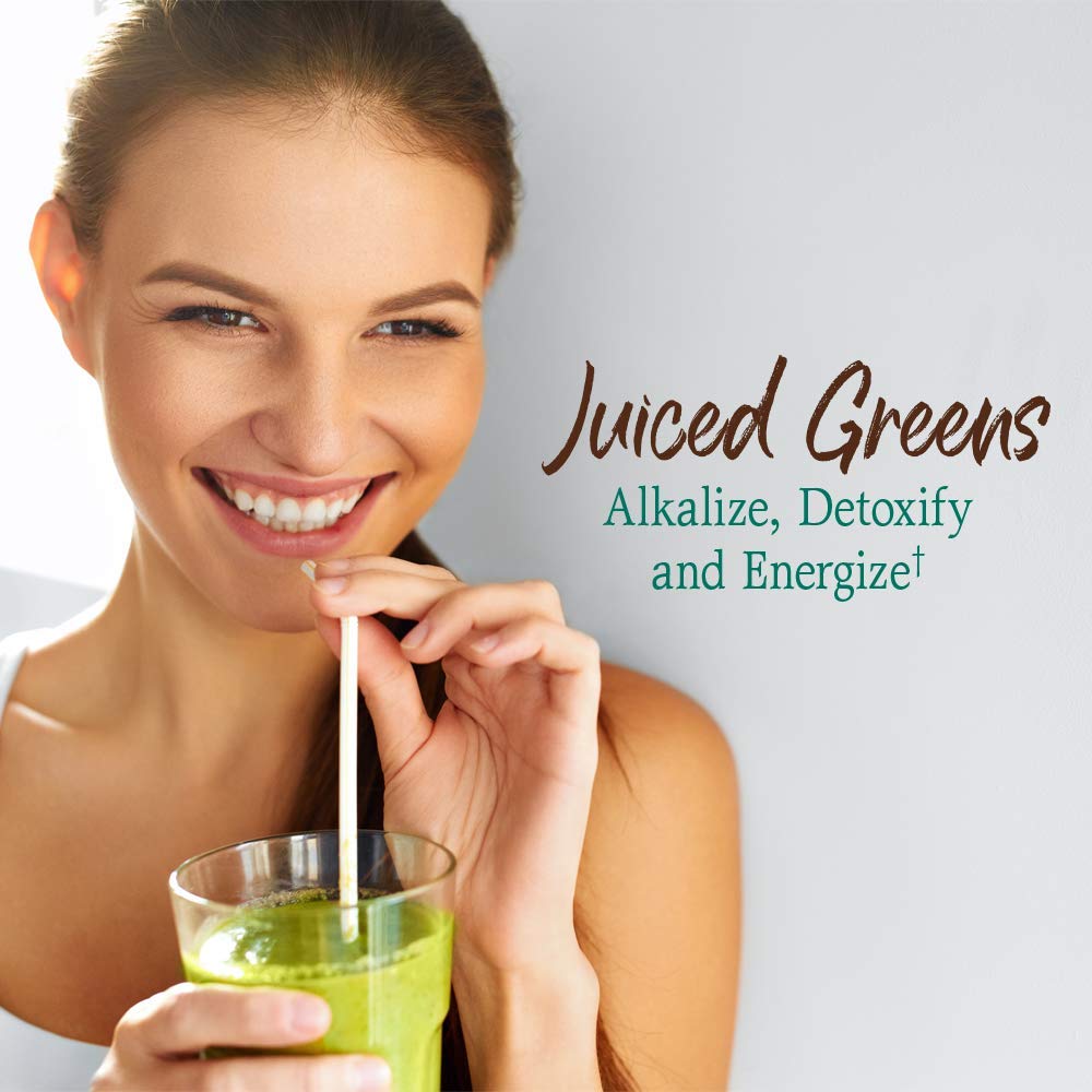 Garden of Life Raw Organic Perfect Food Green Superfood Juiced Greens Powder - Chocolate, 60 Servings, Non-GMO, Gluten Free, Vegan Whole Food Dietary Supplement Plus Probiotics, Enzymes Garden of Life Au supplements