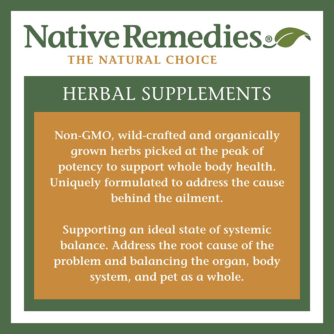 Native Remedies Inflam Dr. - All Natural Herbal Supplement Promotes Healthy Inflammation Response - Helps Fight Oxidative Stress to Cells - 60 Veggie Caps Native Remedies Au supplements