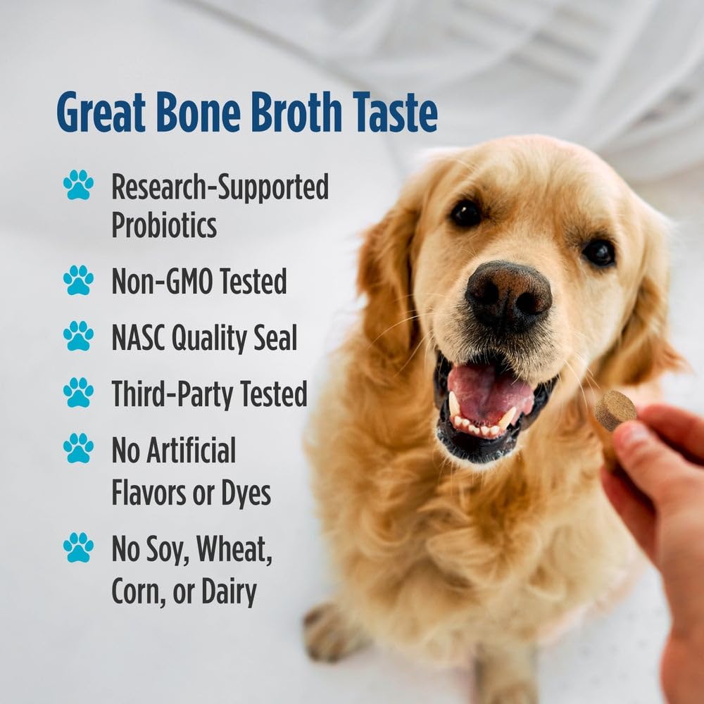 Nordic Naturals Pet Digestive Support with Probiotics, Pork Bone Broth Flavor - 30 Soft Chews - Nutritional Supplement for a Healthy Digestive System and GI Support - 30 Non-GMO Chews Nordic Naturals Au supplements