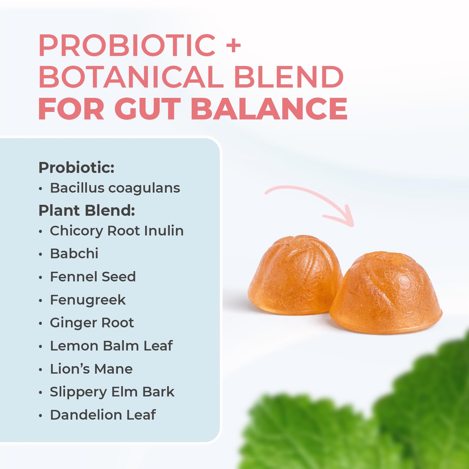 Nature’s NutriWave PrimeBiome Probiotic Gummies – Plant-Based Blend with Inulin, Lion’s Mane, Ginger & More– Non-GMO, No Stimulants, GMP Certified – 30 Gummies, 1 Month Supply Nature’s NutriWave Au supplements