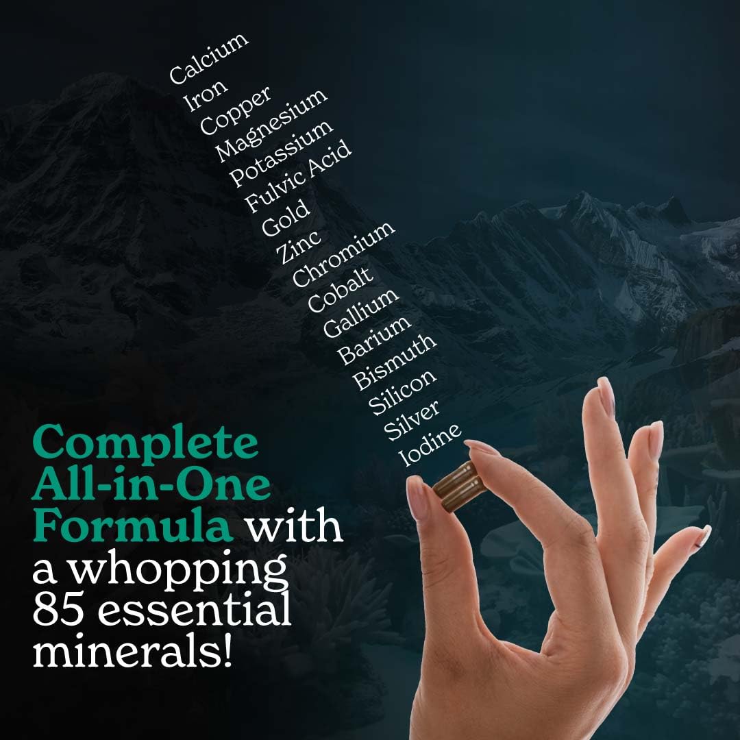 Better Alt Shilajit Sea Moss Capsules Pack of 2 with Ashwagandha & Black Pepper Extract with 85+ Essential Minerals & Antioxidants| Boosts Energy & Metabolism - 120 Servings, 240 Capsules Better Alt Au supplements