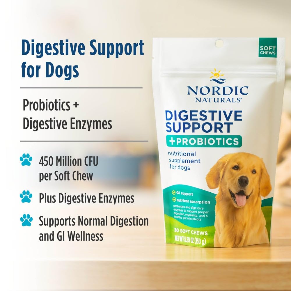 Nordic Naturals Pet Digestive Support with Probiotics, Pork Bone Broth Flavor - 30 Soft Chews - Nutritional Supplement for a Healthy Digestive System and GI Support - 30 Non-GMO Chews Nordic Naturals Au supplements