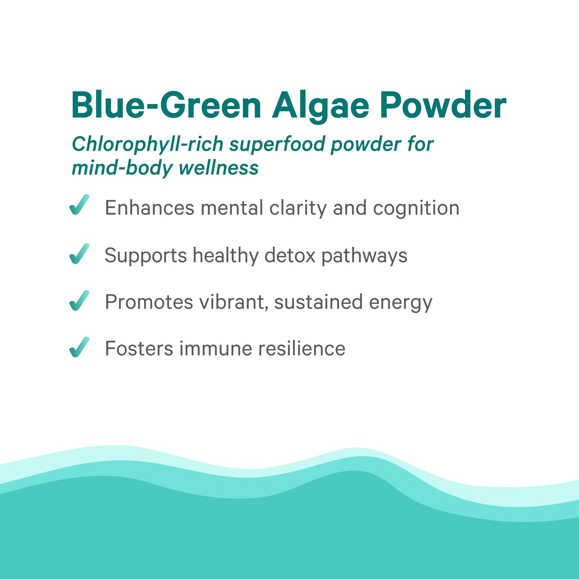 PURE SYNERGY Blue-Green Algae Powder | Superfood Powder with Chlorophyll | Organic AFA Blue Green Algae Supplement | Supports Energy, Mental Clarity, and Detoxification (3.2 oz.) PURE SYNERGY Au supplements