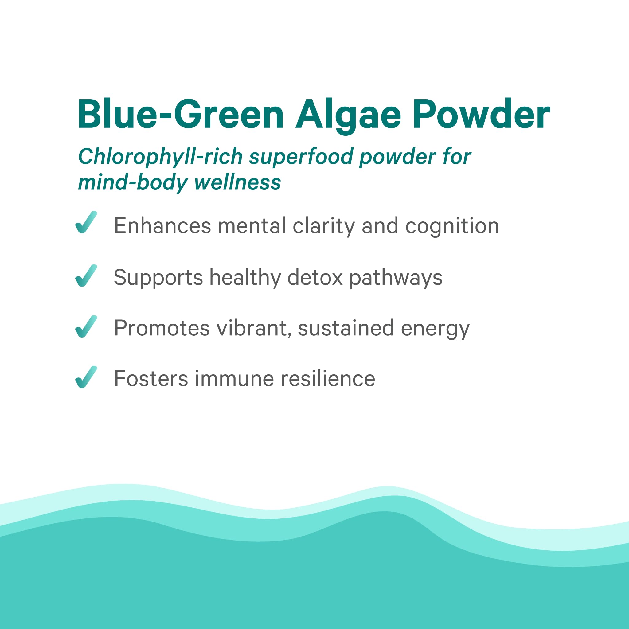PURE SYNERGY Blue-Green Algae Powder | Superfood Powder with Chlorophyll | Organic AFA Blue Green Algae Supplement | Supports Energy, Mental Clarity, and Detoxification (3.2 oz.) PURE SYNERGY Au supplements
