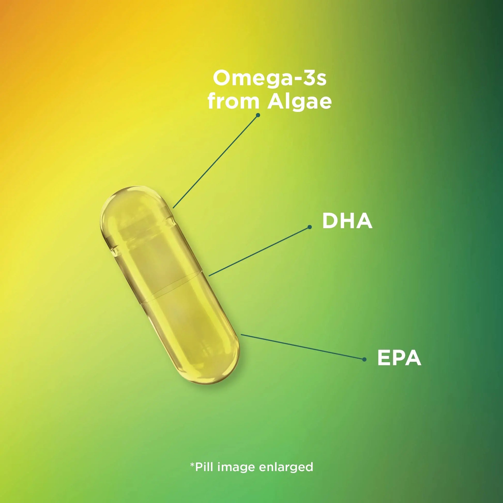 Theralogix PhytoLife Omega - 90-Day Supply - Vegan Algae Omega-3 Supplement Theralogix Au supplements