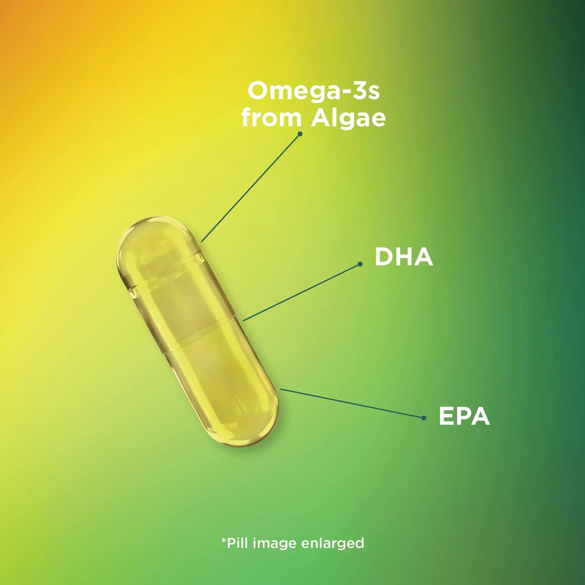 Theralogix PhytoLife Omega - 90-Day Supply - Vegan Algae Omega-3 Supplement Theralogix Au supplements