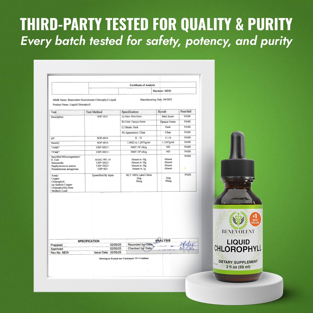 Benevolent Nourishment Chlorophyll Supplement, Detox & Immune Support, Internal Deodorizer, Liquid Drops
