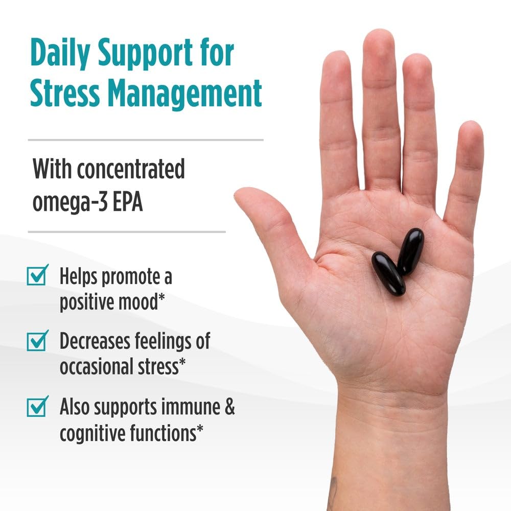 Nordic Naturals Mood Support Omega Blend - Unflavored - 60 Soft Gels - 1400 mg Omega-3 Supplement with EPA & DHA - Promotes Balanced Mood and Serenity - Non-GMO - 30 Servings Nordic Naturals Au supplements