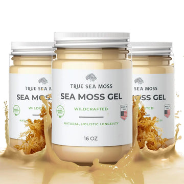 TrueSeaMoss Wildcrafted Irish Sea Moss Gel – Nutritious Raw Seamoss Rich in Minerals TrueSeaMoss Au supplements