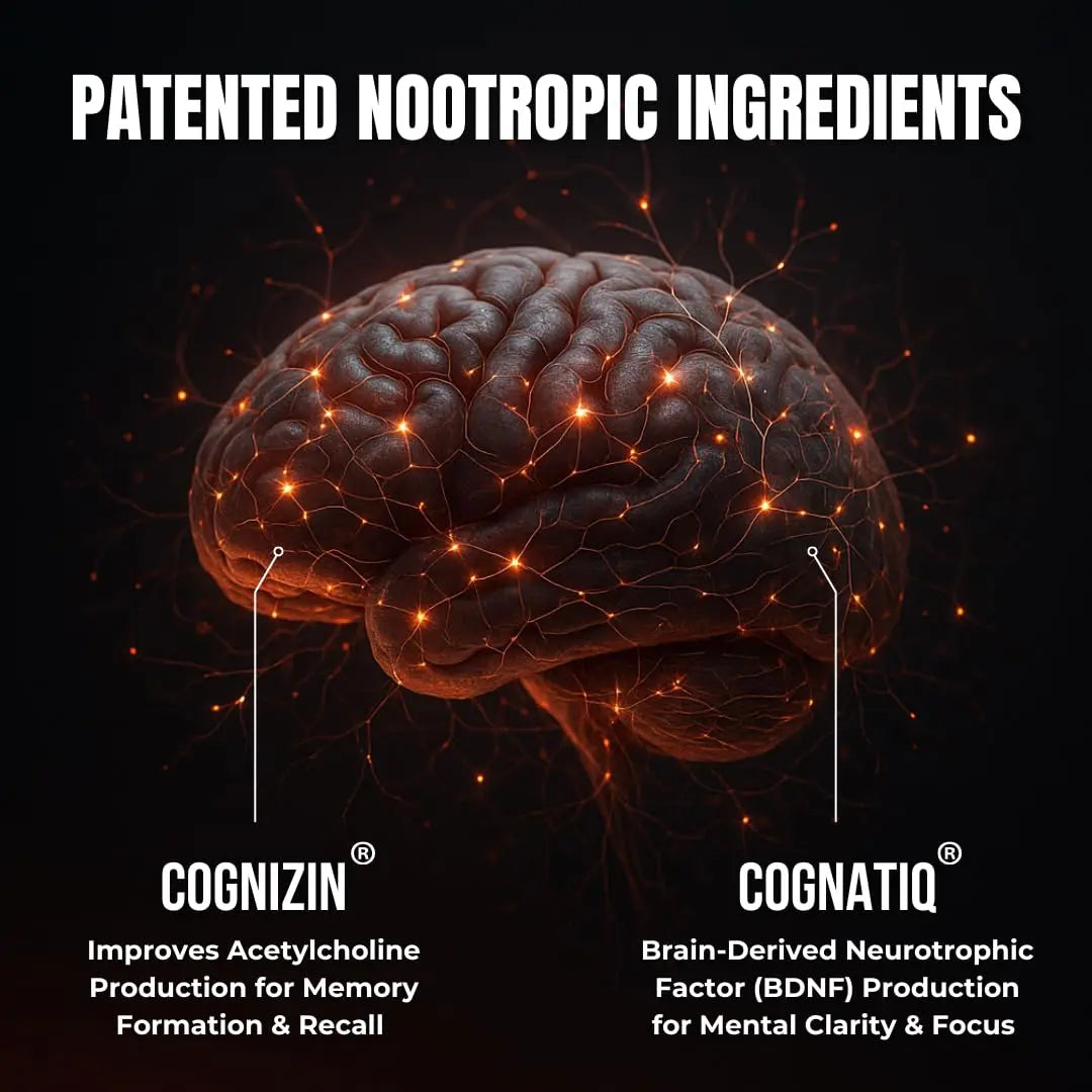 FOCUS + THINK Nootropic Brain Supplement Bundle - Energy, Memory & Focus Support - Caffeine + Caffeine-Free Cognitive Stack with Lion's Mane, Bacopa, Citicoline & L-Theanine - 2 Bottles (90 + 90 Capsu HUMBLEROOTS PERFORMANCE Au supplements