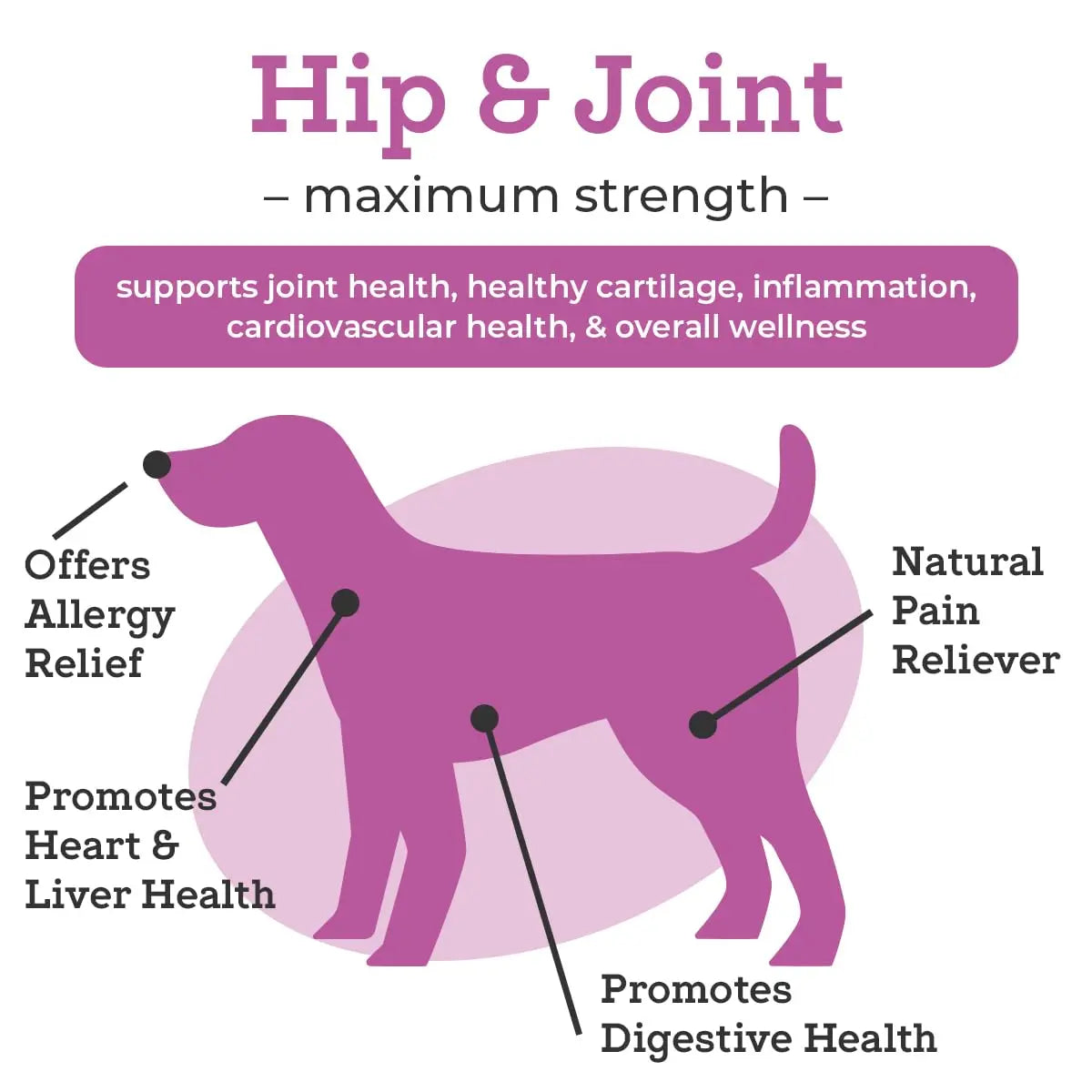 VetPro Dog Hip and Joint Supplement - Pain and Inflammation Relief Chews VetPro Complete Au supplements