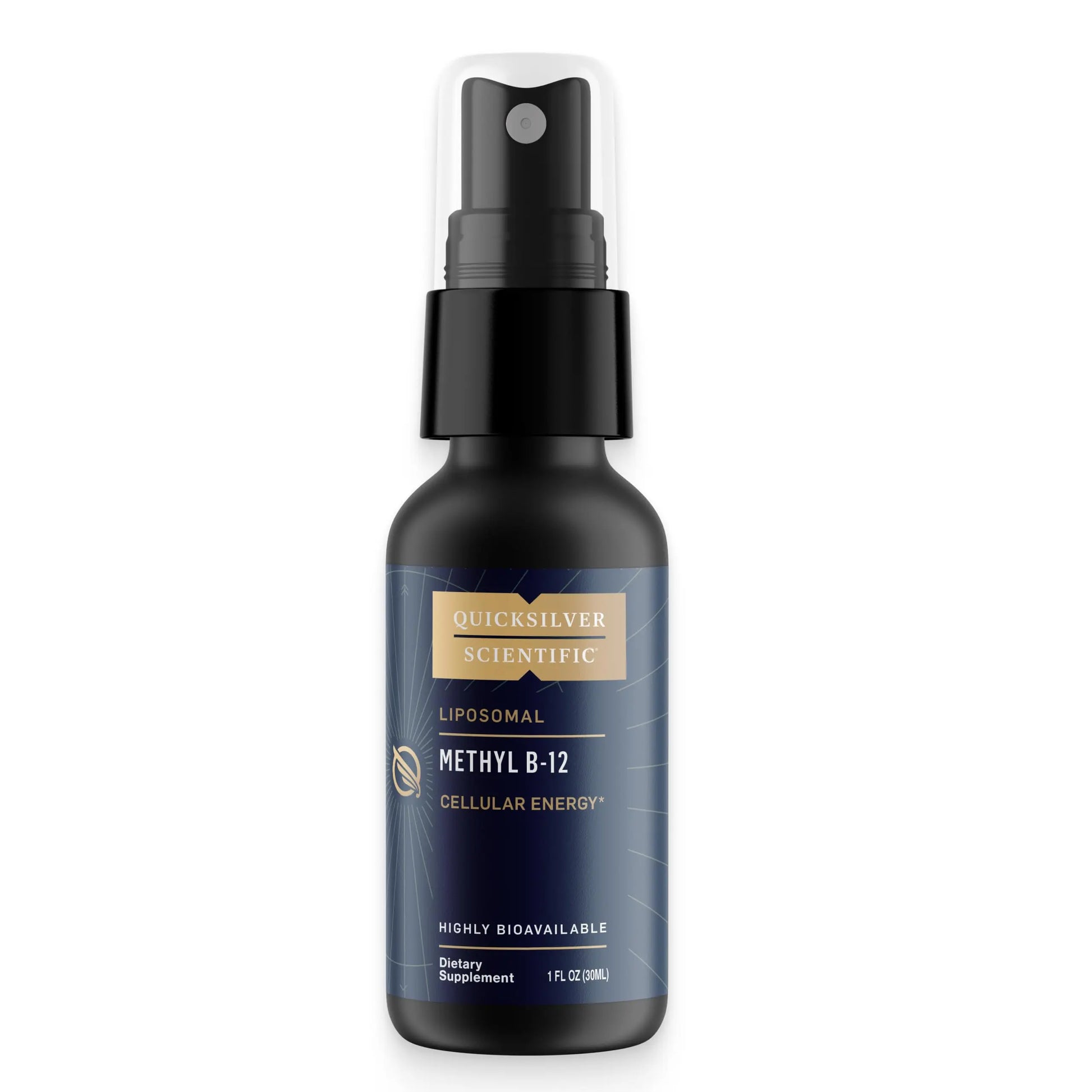 Quicksilver Scientific Methyl B12-1000mcg Vitamin B12 as Methylcobalamin - with Nano Technology for Superior Absorption - Supportive Energy Supplement (30ml / 90 Servings) Quicksilver Scientific Au supplements