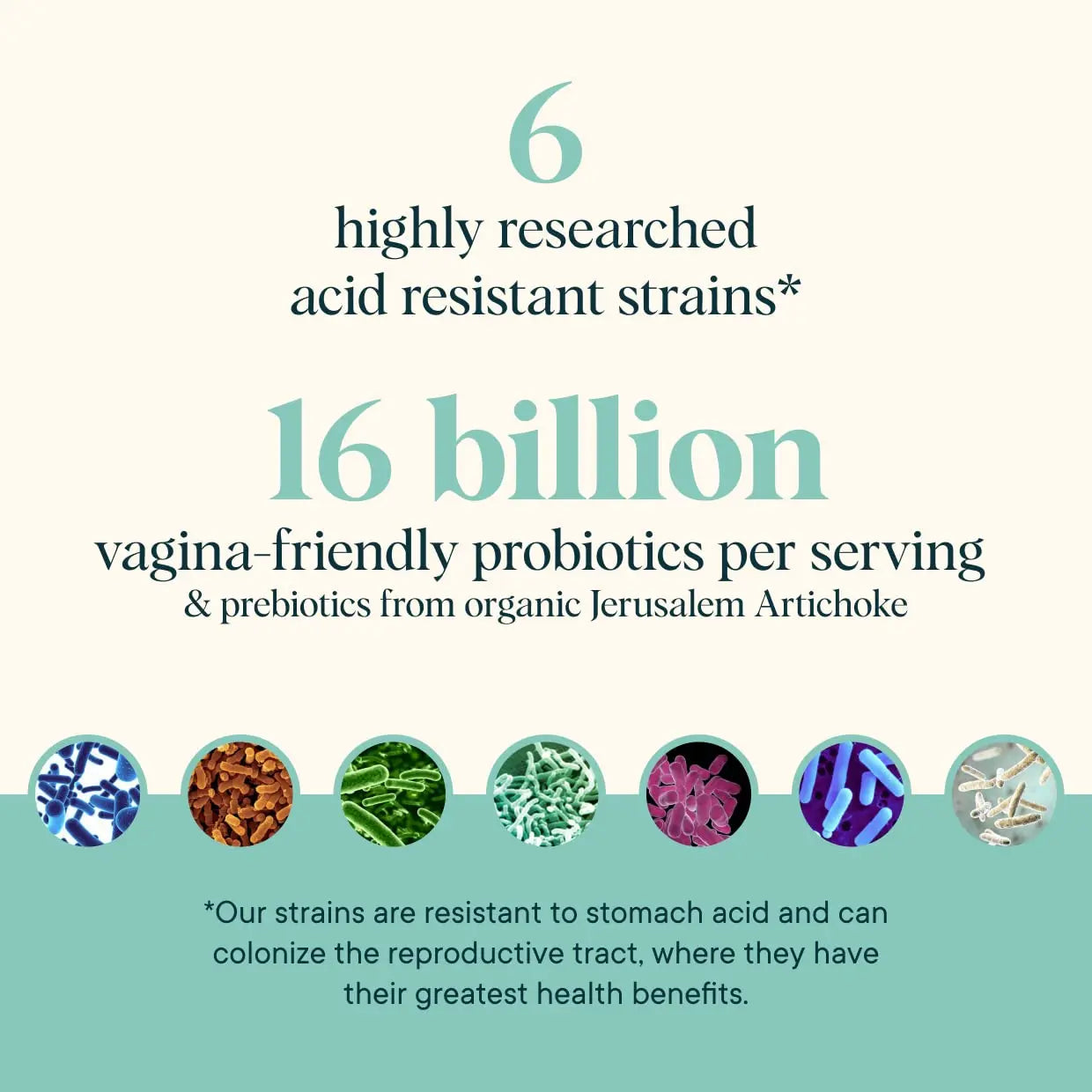 Ora Organic Prebiotics and Probiotics for Women - Lactobacillus for Vaginal and Urinary Tract Health, Contains 16 Billion CFU, 6 Strains - 1 Month Supply, 60 Vegan Probiotic Capsules Ora Organic Au supplements