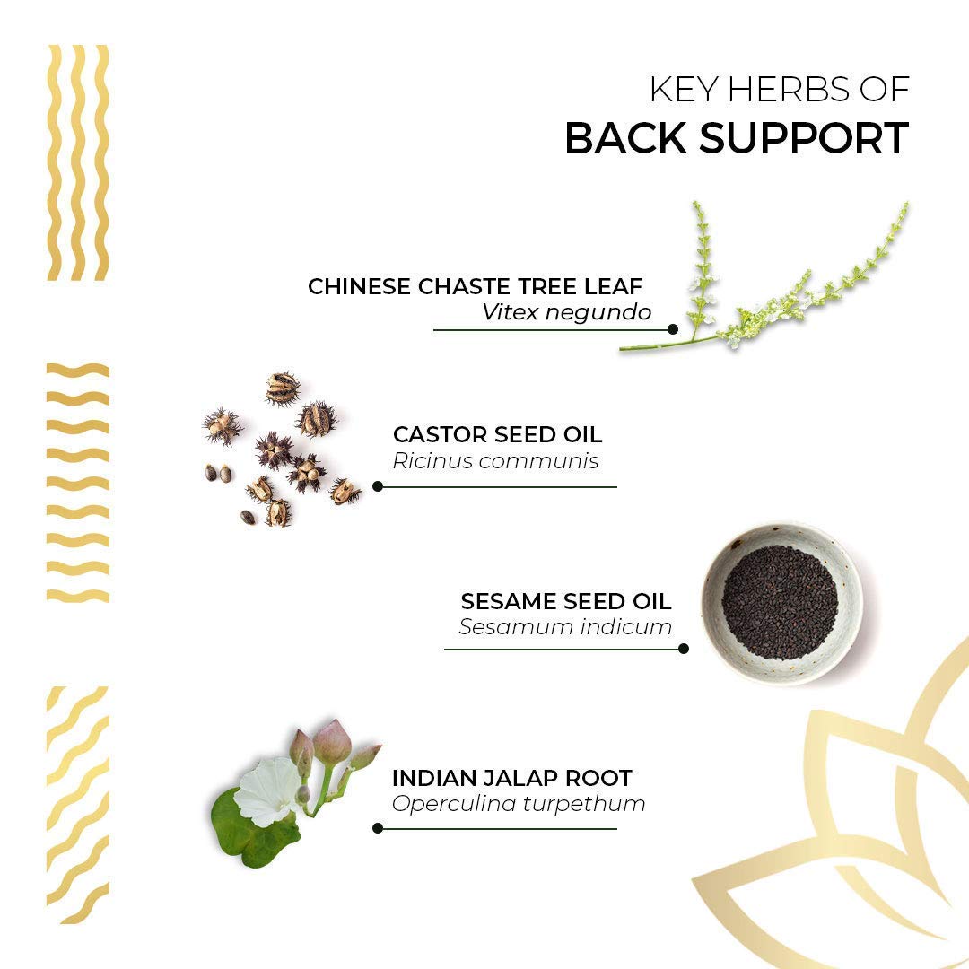 Kerala Ayurveda Back Support Herbal Capsules - Eases Occasional Discomfort of Lower Back & Supports Normal Movement of Spine, 90 Count Kerala Ayurveda Au supplements