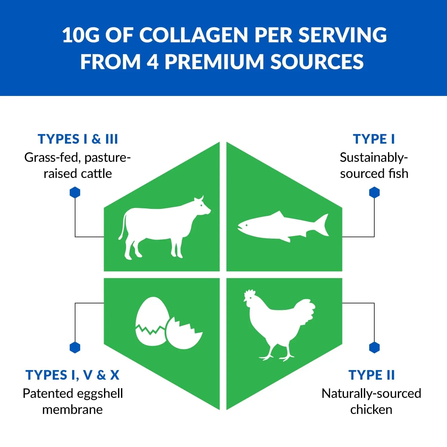 BioTrust Collagen Powder with Turmeric – 5 Types (I, II, III, V, X) + Turmeric BioTrust Au supplements