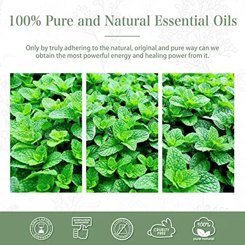 PHATOIL Spearmint Essential Oil 100ML, Pure Premium Grade Spearmint Essential Oils PHATOIL Au supplements