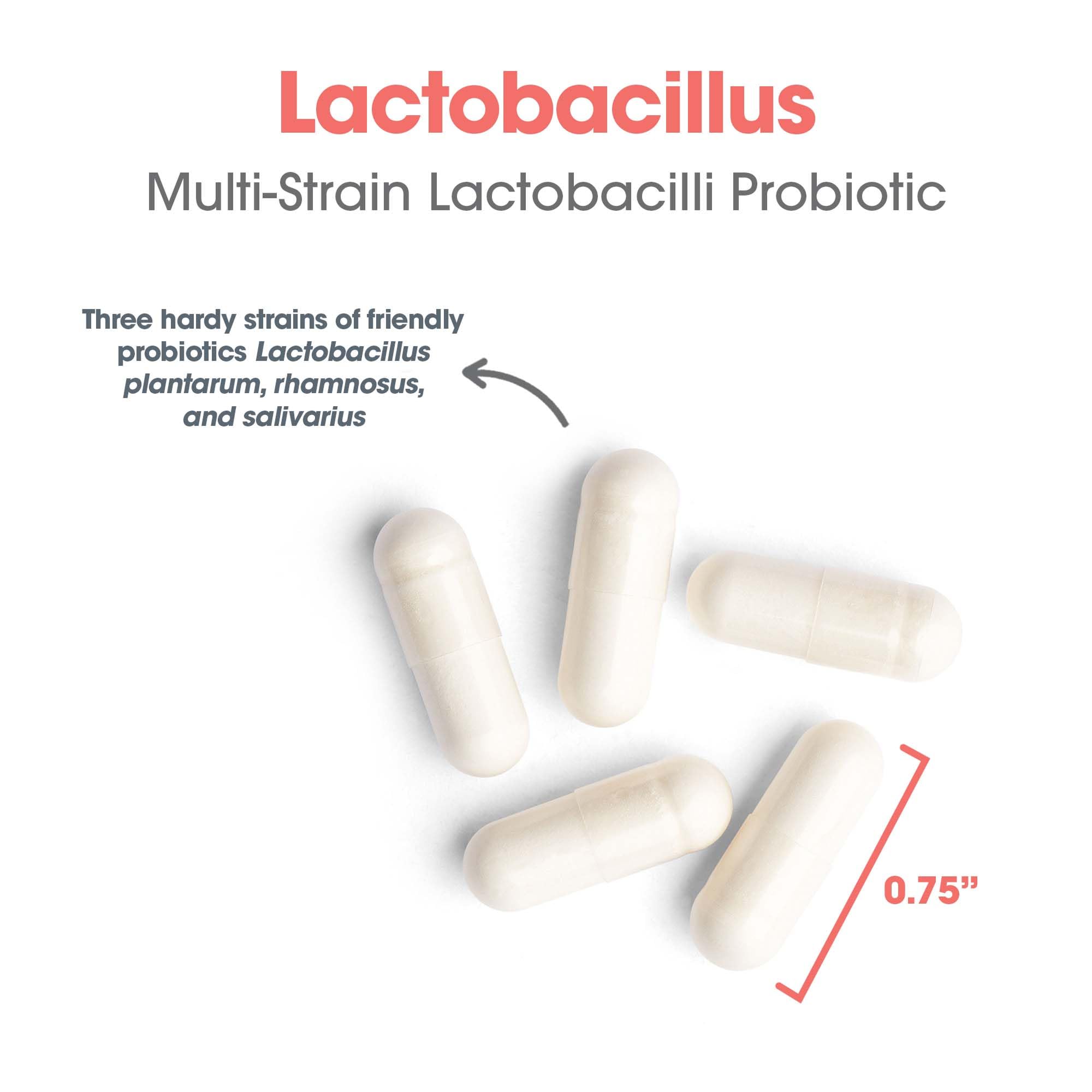 Allergy Research Group Lactobacillus Supplement - Probiotics for Men & Women, Digestive Health, Gut Health, Vegetarian Capsules - 100 Count Allergy Research Group Au supplements