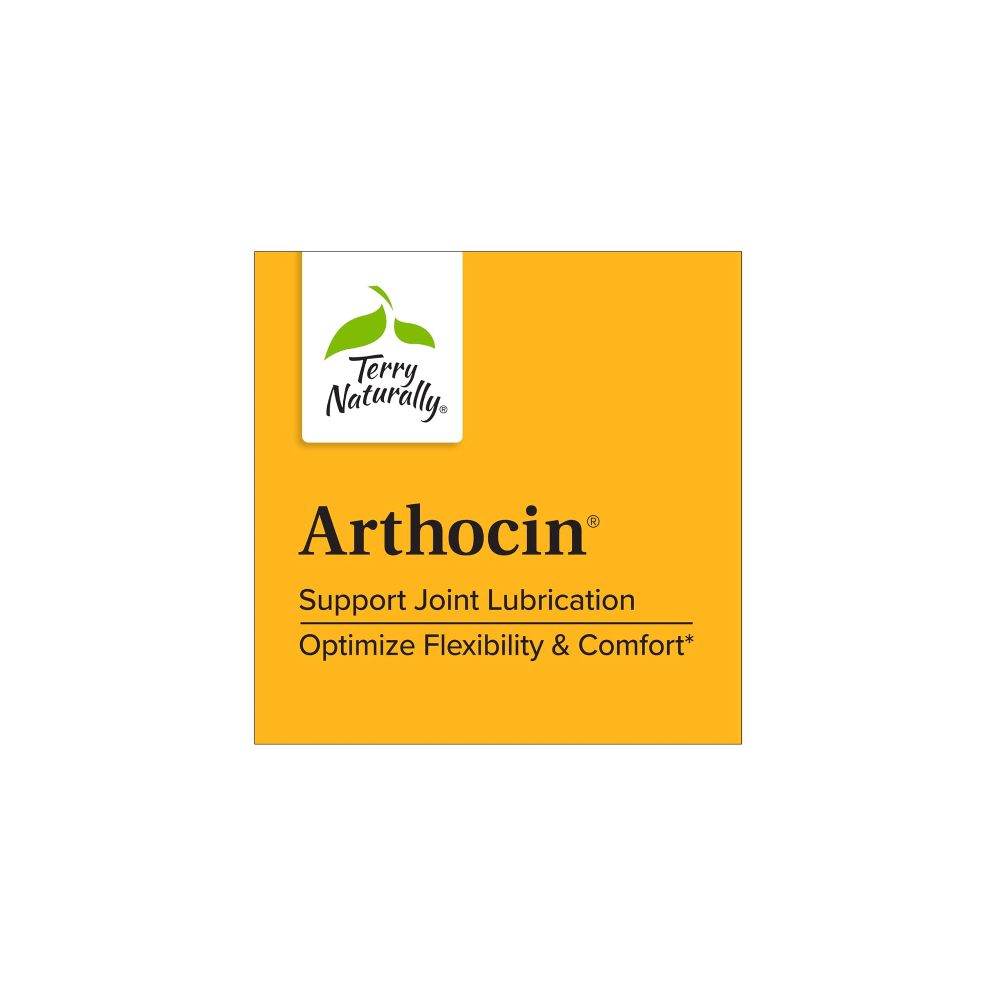 Terry Naturally Arthocin - Boswellia Serrata Capsules with Devil's Claw & Curcumin - Supplement to Support Joint & Spine Health - Herbal Supplement Aids Comfort & Absorption - 60 Capsules Terry Naturally Au supplements