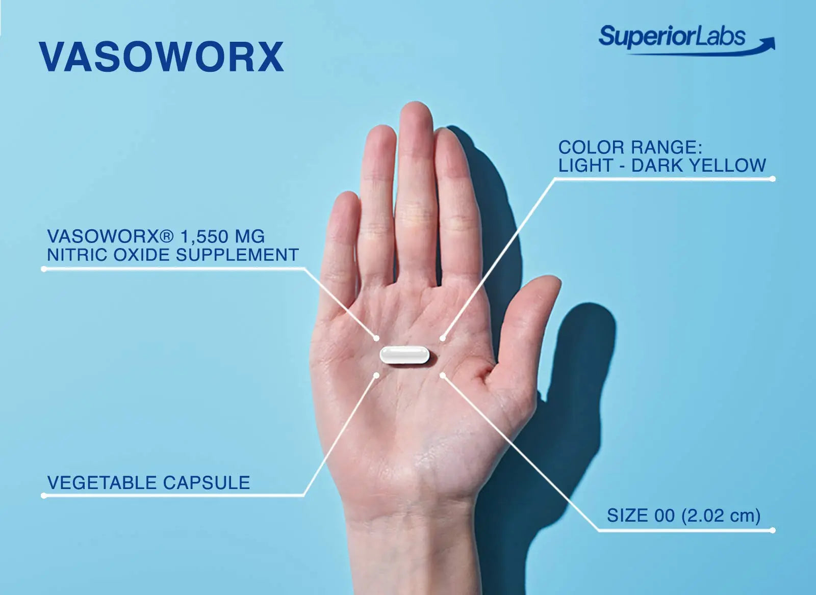 Superior Labs – VASOWORx  – Nitric Oxide Supplement – Extra Strength - 1,600 mg Superior Labs Au supplements