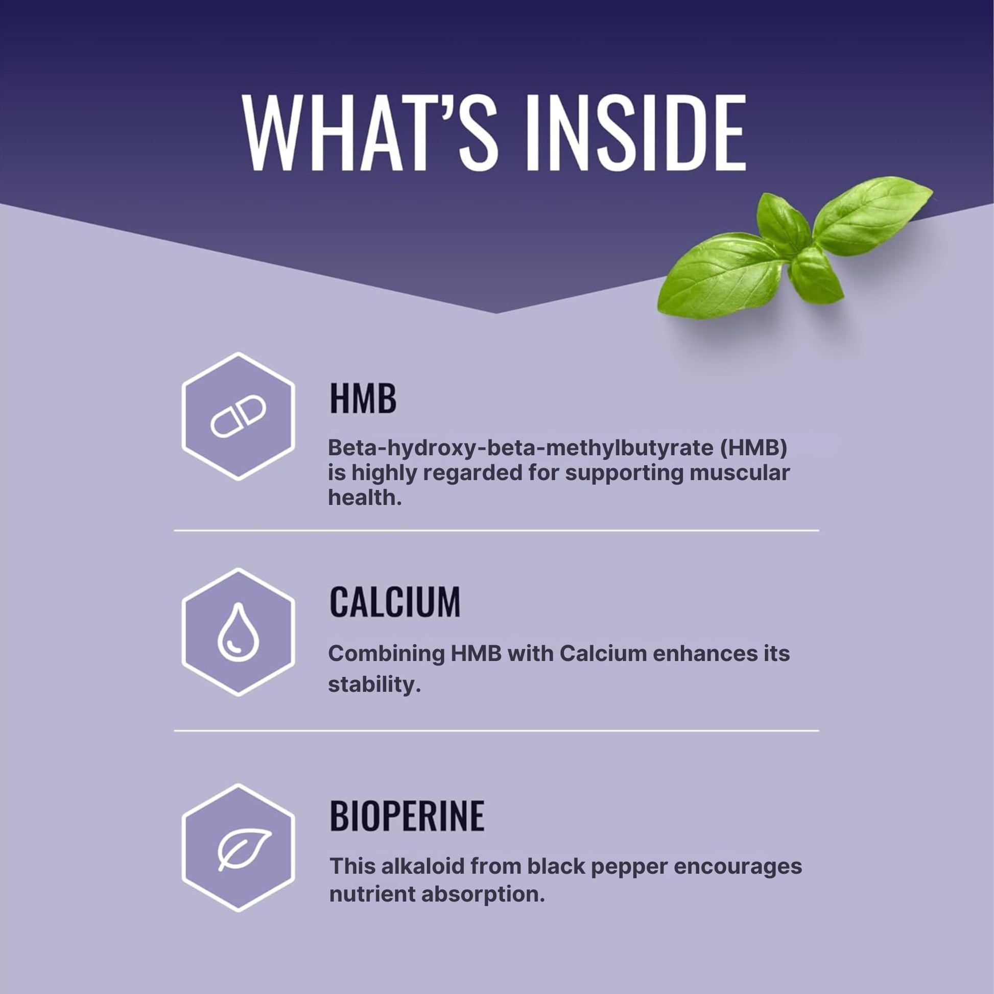 Approved Science HMB - 1500mg High Potency HMB Supplement with Calcium & BioPerine for Absorption - Muscle Health & Exercise Performance - 60 Vegan Capsules - Pack of 3 Approved Science Au supplements