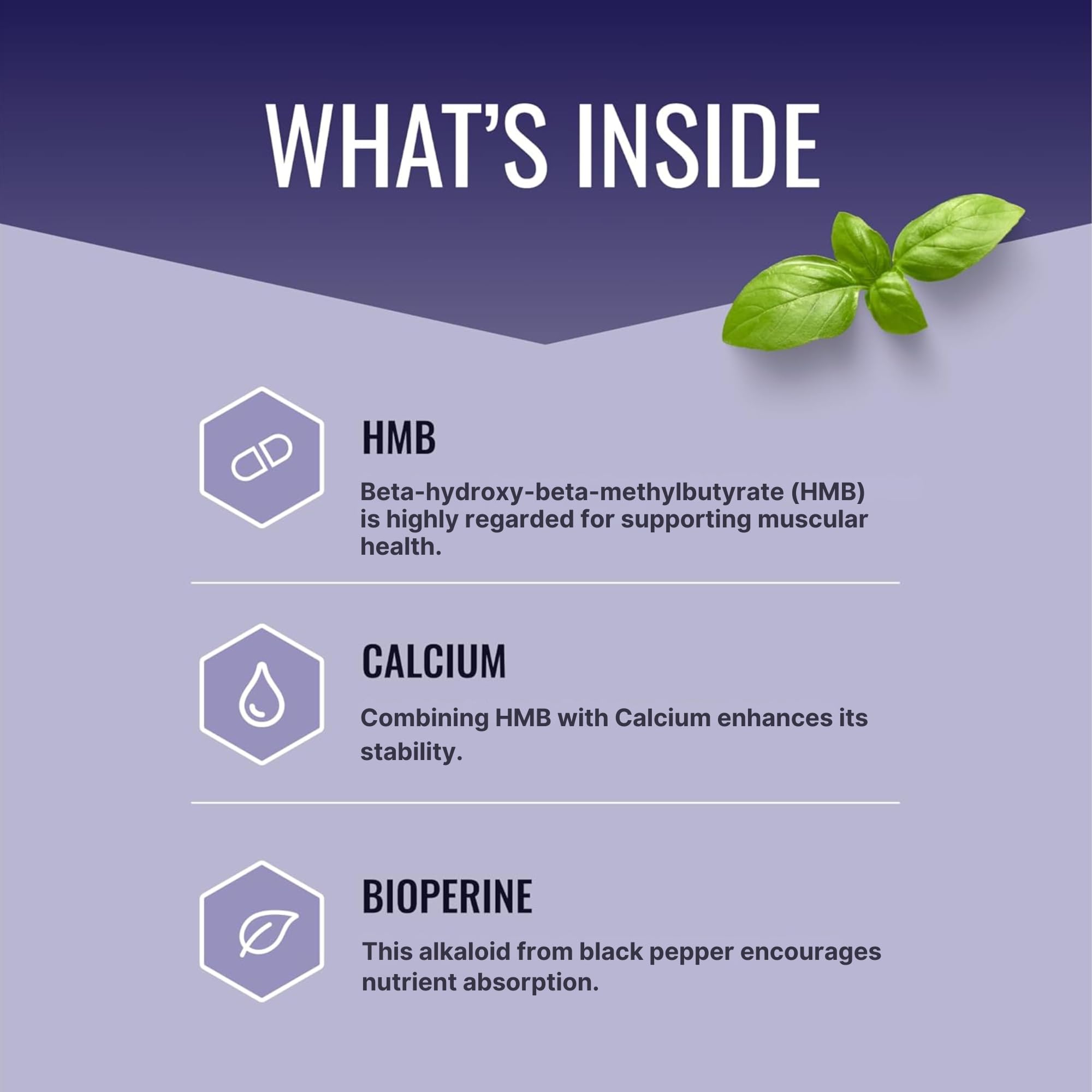 Approved Science HMB - 1500mg High Potency HMB Supplement with Calcium & BioPerine for Absorption - Muscle Health & Exercise Performance - 60 Vegan Capsules - Pack of 3 Approved Science Au supplements
