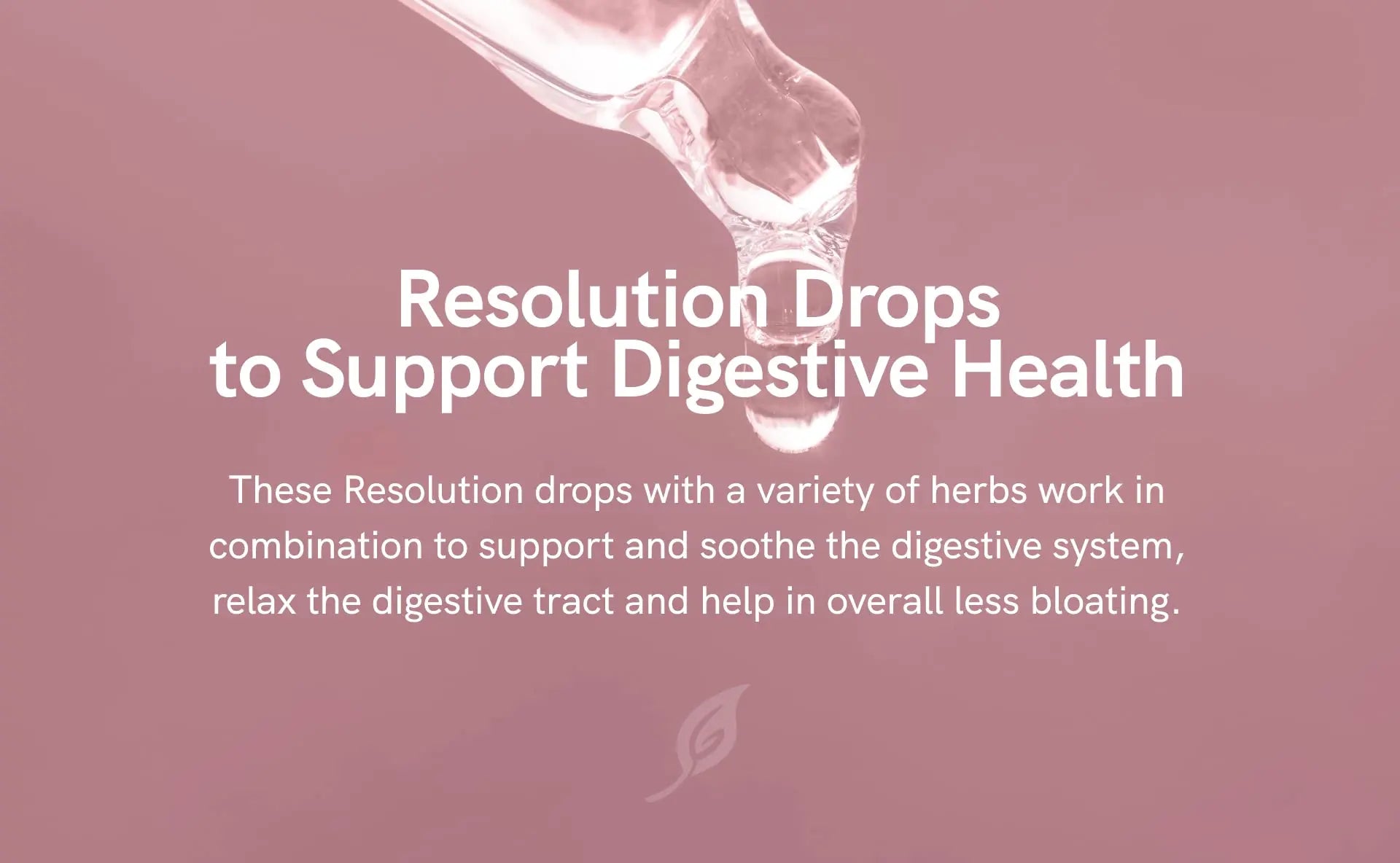 Liver Cleanse Detox & Repair Drops with Milk Thistle Extract, Dandelion Root Extract & Artichoke Ultra6 Nutrition Au supplements