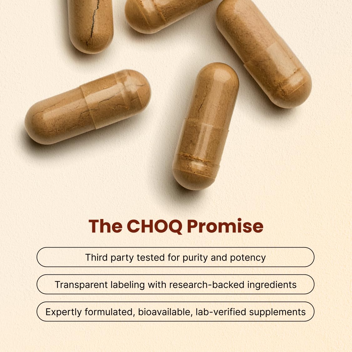 CHOQ Daily with 500mg PrimaVie Shilajit, Safed Musli, Tribulus - Natural Energy, Libido & Muscle Support - Daily Supplement for Men, 60 Vegan Capsules CHOQ Au supplements