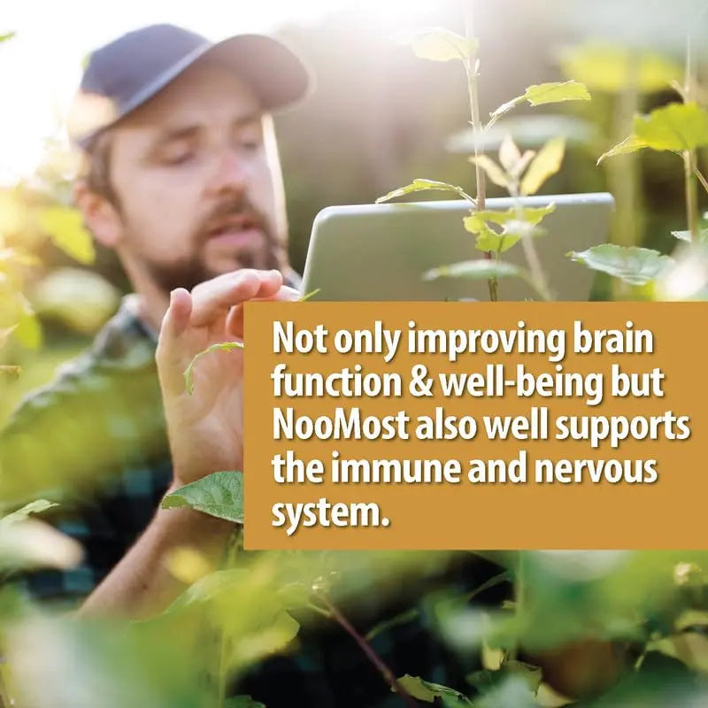 NooMost Organic Lions Mane Supplement Capsules 5400mg, Ginkgo Biloba 120mg NooMost Au supplements