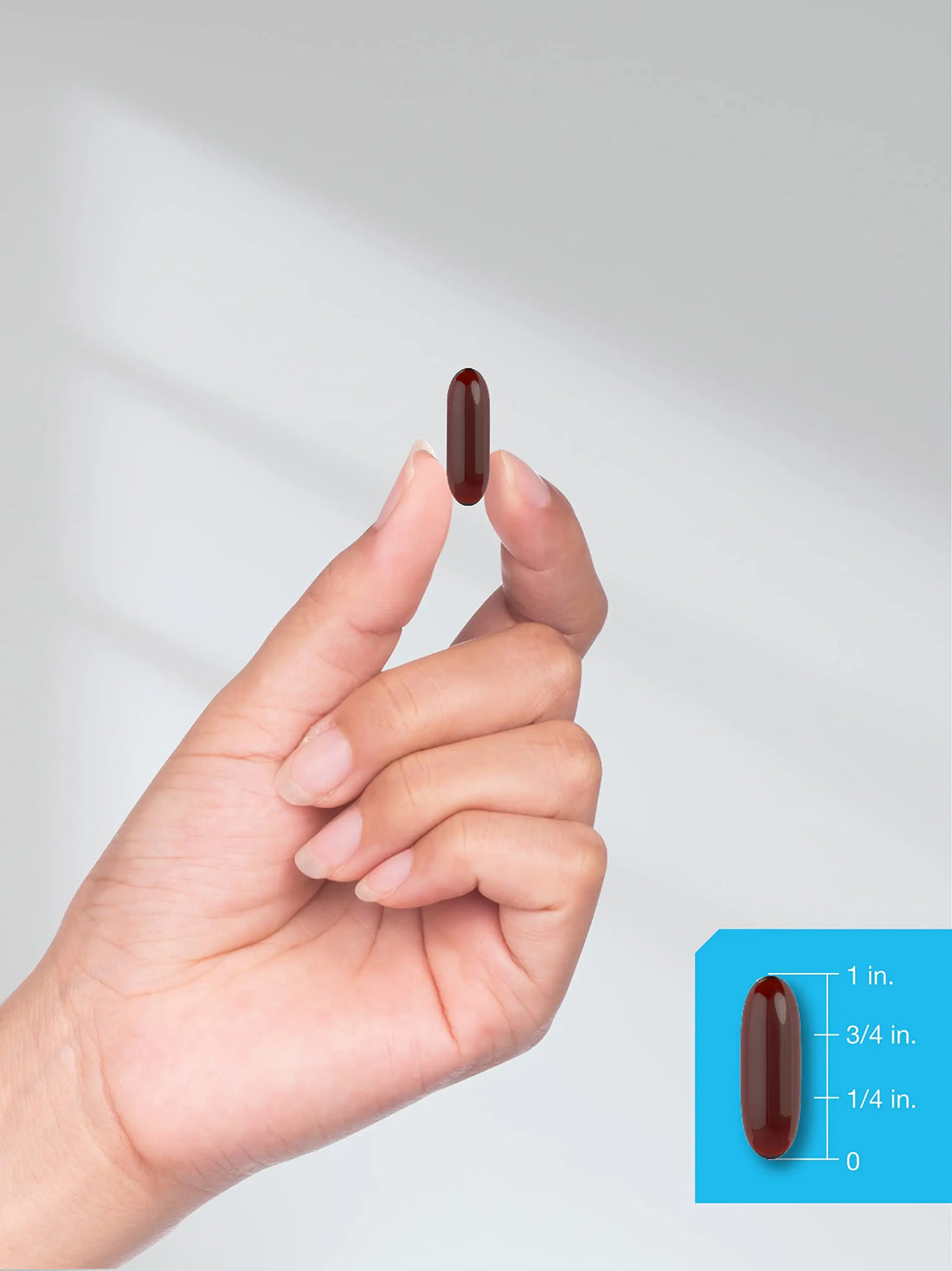 Horbäach Antarctic Krill Oil 2000mg | 60 Softgel Capsules | Omega-3, EPA, DHA Supplemen Horbäach Au supplements