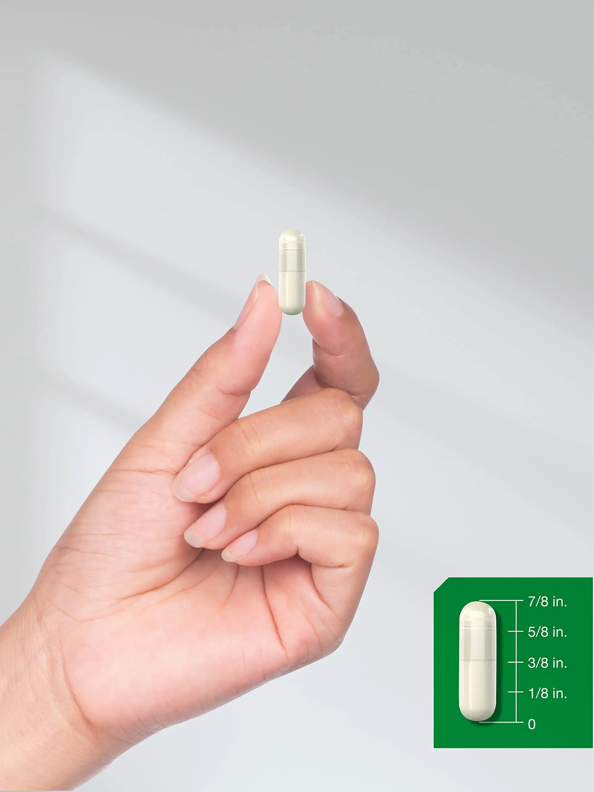 Green Lipped Mussel | 750 mg | 120 Capsules | from New Zealand | Premium Freeze Dried Horbäach Au supplements