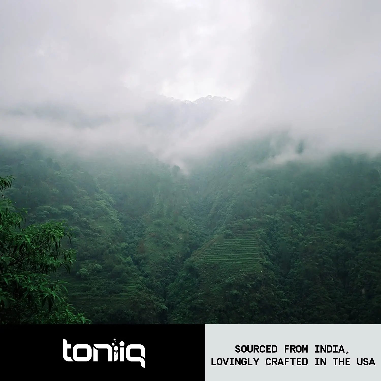Toniiq 26,000mg 20x Concentrated Extract - 10% Withanolides - Ultra High Strength Toniiq Au supplements