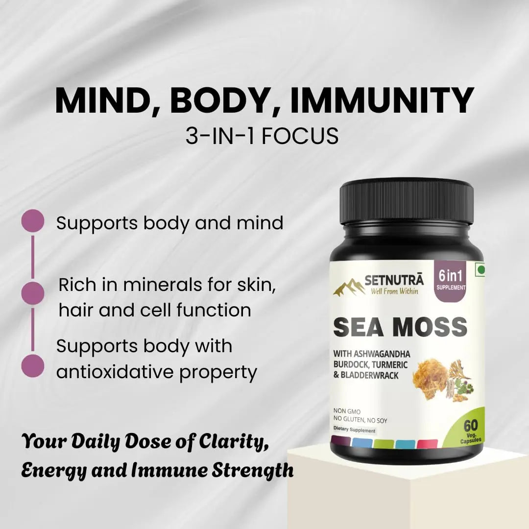 SETNUTRA Well From Within Sea Moss 6 in 1 Super Blend Ashwagandha Burdock Turmeric & Bladderwrack Immunity & Detox Support 60 Veg Capsules Non GMO No Gluten SETNUTRA Well From Within Au supplements