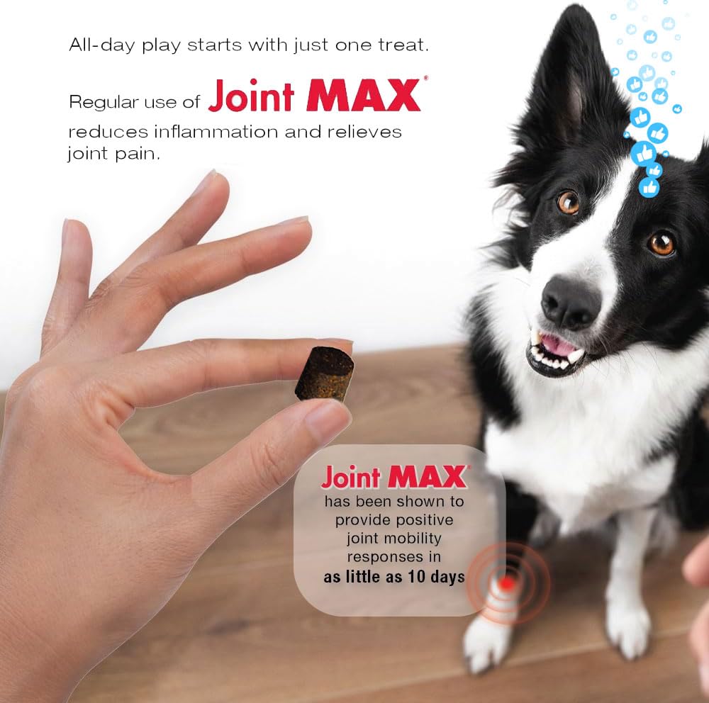 Joint Max TS Joint Supplement Vet Formulated Pain & Inflammation Relief Treats Hip Dysplasia & Arthritis, Glucosamine, Chondroitin, Turmeric, MSM, HA, Creatine, Omega 3 EPA + DHA.120 Soft Chews Joint Max Au supplements