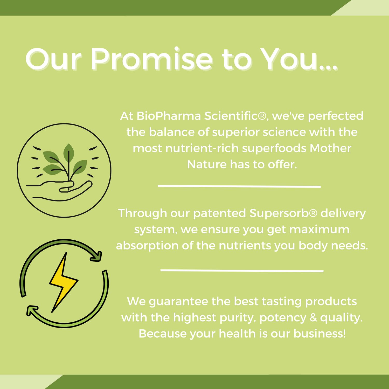 NanoMeal Plant-Based All-in-One Nutrition | Superfood Meal Replacement Powder | Tropical Fruit Blend | 10 Servings | Protein, Greens & Omega for Gut & Immune Support Biopharma Scientific Au supplements