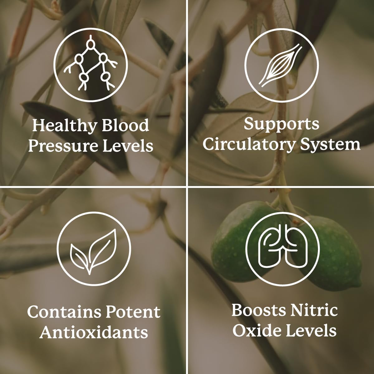 Nature's Sunshine Blood Pressurex 60 Capsules Nature's Sunshine Au supplements