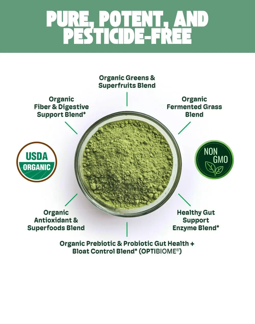 Cheerific Crisp Apple Greens Superfood Powder - 20+ Organic Superfoods + Prebiotic & Probiotics + More - Keto Friendly - Supports Positive Mood, Gut Health - Vegan, Gluten Free, Non-GMO - 30 Day Cheerific Au supplements